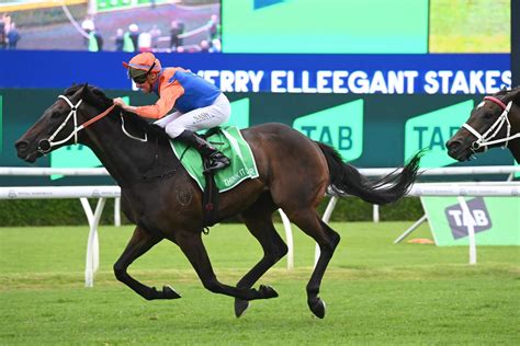 redzel stakes betting|Think About It Stakes 2024 .